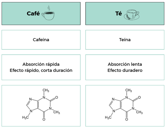 Diagrama

El contenido generado por IA puede ser incorrecto.