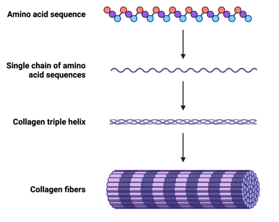 Gráfico, Diagrama, Gráfico de cajas y bigotes
El contenido generado por IA puede ser incorrecto.