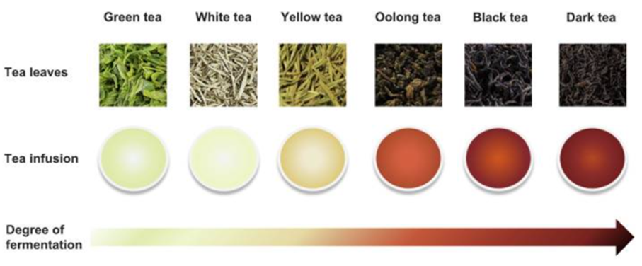 Imagen que contiene alimentos, dibujo

El contenido generado por IA puede ser incorrecto.