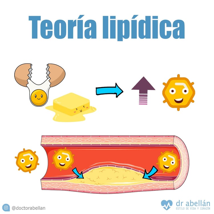 #4. La verdadera cara del colesterol. ¿Es el LDL malo?